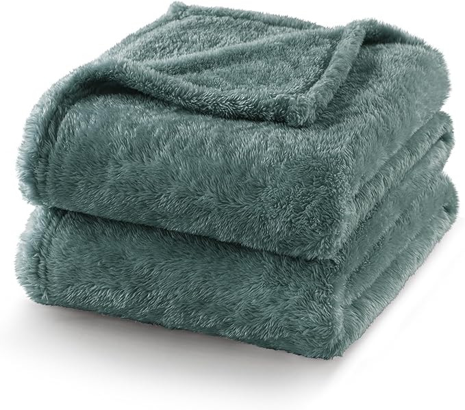 Exclusivo Mezcla Plush Fuzzy Fleece Bed Blanket Queen Size, Super Soft, Fluffy and Warm Blankets for Couch, Bed, All Season (Celadon, 90x90 inches)