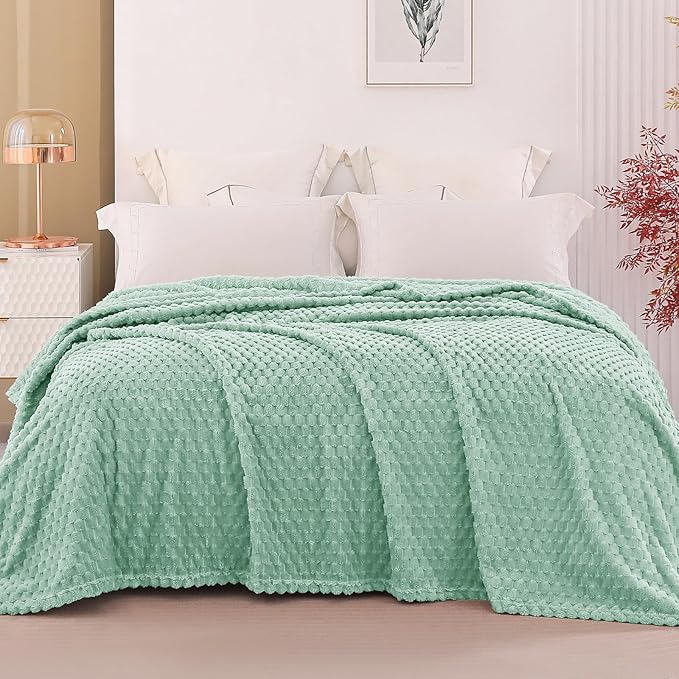 Exclusivo Mezcla Fleece Queen Blanket for Bed, Extra Large Fuzzy Sage Green Bed Blankets, Soft Cozy Plush Sofa Throws for All Seasons, 90x90 Inches