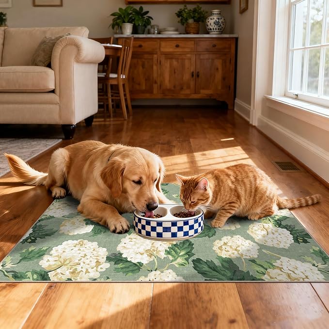 Front Door Mat Outside Entrance - 2x3 Spring Non-Slip Washable Doormat Indoor Outdoor Entrance Sage Green Beige Floral Rug Small Throw Rugs for Entryway Bedroom Kitchen Front Porch Decor