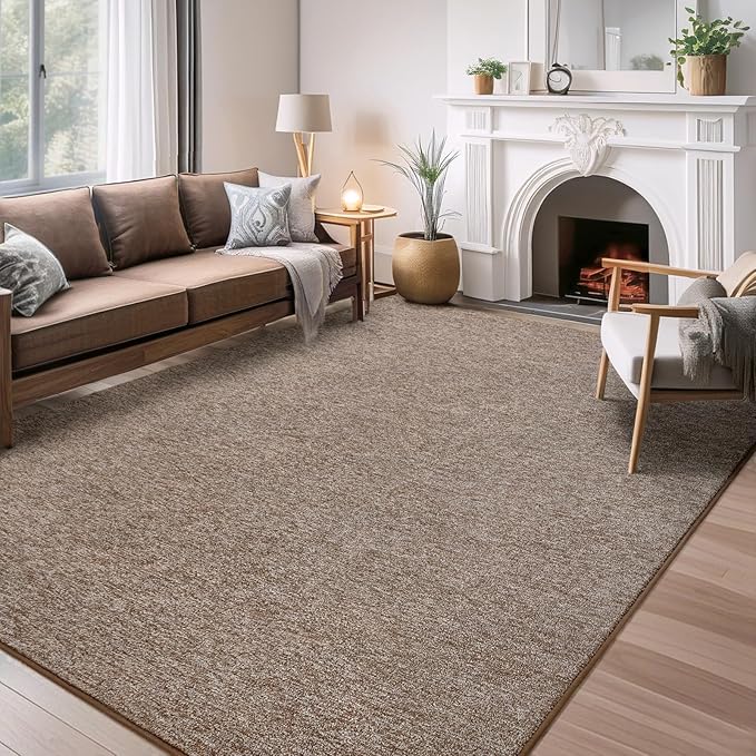 AROGAN Washable 4×6 Bedroom Rug, Modern Area Rugs with Soft Memory Foam for Living Room, Minimalist Non-Slip Indoor Floor Carpet for Dining Room Office Kids Playroom Decor, Matte Brown