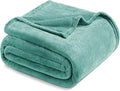 Exclusivo Mezcla Fleece Blanket Twin Size for Bed, Super Soft and Warm, All Season, Cozy, Plush, Lightweight, 60x80 Inches Celadon