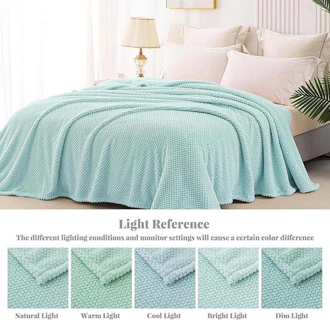 Whale Flotilla Twin Size Fuzzy Fleece Blanket for Bed, 60x80 Inch Fluffy Warm Soft Jacquard Blankets for All Season, Lightweight and Cozy, Light Blue