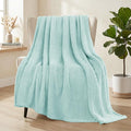 Whale Flotilla Extra Large Fuzzy Fleece Throw Blanket for Couch, 50x70 Inch Fluffy Warm Soft Jacquard Blankets for All Season, Lightweight and Cozy, Light Blue
