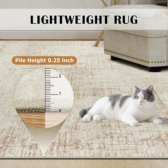 6x9 Area Rugs for Living Room Washable Rug: Anti-Skid Abstract Modern Living Room Rug Soft Thin Carpets Indoor Floor Non-Shedding Carpet for Bedroom Dining Farmhouse Nursery Home Office Beige White