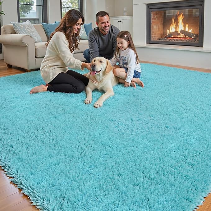 8x10 Area Rugs for Living Room Bedroom, Large Area Rug Shaggy Carpet Soft Plush Furry Bedside Rug, Rugs for Home Decor (Teal Blue, 8 x 10)