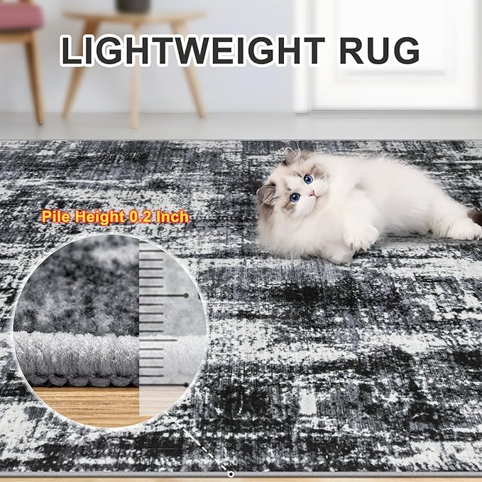 Area Rugs Living Room Rug - 5x7 Washable Modern Abstract Soft Neutral Non-Slip Carpet Large Indoor Floor Thin Carpets for Bedroom Dining Room Farmhouse Nursery Home Office Black