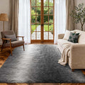 Area Rugs for Living Room, Tie-Dyed 5x7 Feet Soft Fluffy Shagg Plush Rug High Pile Large Indoor Modern Non-Slip Floor Carpet for Bedroom Nursery Kids Home Room Dorm Decor Aesthetic Grey White Gradient