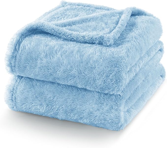 Exclusivo Mezcla Plush Fuzzy Fleece Bed Blanket Queen Size, Super Soft, Fluffy and Warm Blankets for Couch, Bed, All Season (Light Blue, 90x90 Inches)