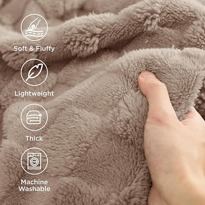 Bedsure GentleSoft Twin Blanket for Bed Light Brown - Super Soft Cozy Blankets for Kids Girls, Cute Fuzzy Fleece Throws for Bedroom Couch, 60x80 Inches