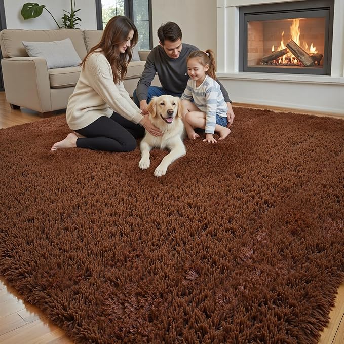 Rugs for Living Room 6x9, Alfombras para Salas Shag Large Plush Soft Area Rug, Shaggy Carpets for Bedroom, Kids Boys Girls Home Decor Aesthetic(Coffee, 6 x 9)