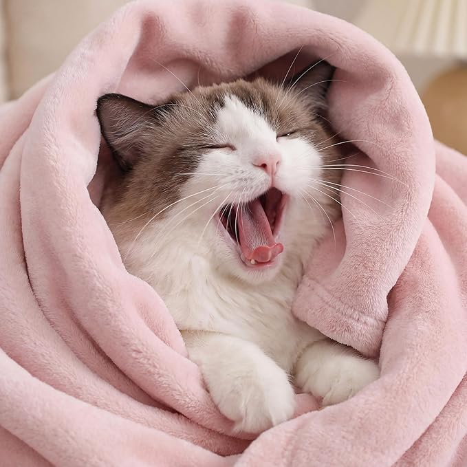 Bedsure GentleSoft Fleece Bed Blankets Full Size Pink - Soft Lightweight Plush Fuzzy Cozy Luxury Blanket Microfiber, 84x90 inches