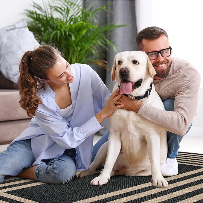 Lahome Enfys Modern Geometric Easy Jute Outdoor Rug, 5x7 Patio Living Room Rug Large Black Carpet for Bedroom, Farmhouse Washable Indoor Outdoor Carpet for Dining Room Backyard Deck