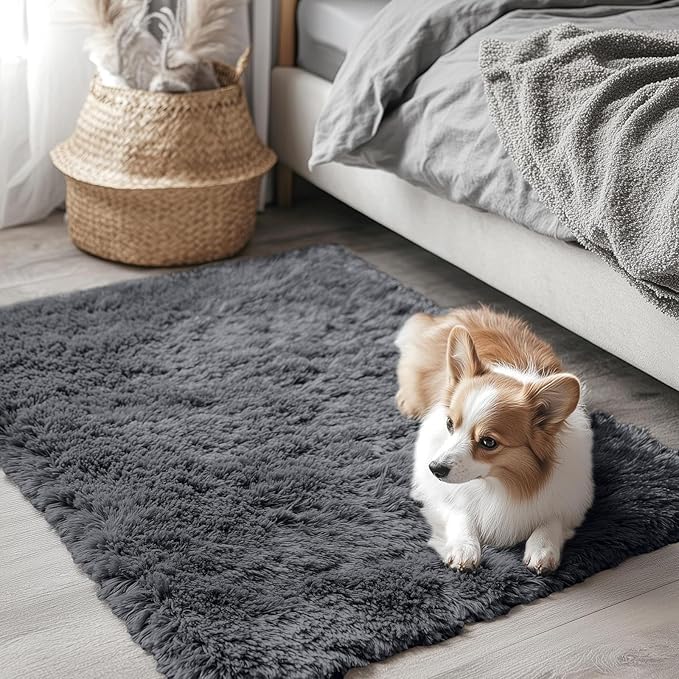 OLANLY 2x2 Machine Washable Small Rug, Soft Fluffy Shaggy Throw Rug for Bedroom, Entryway, Indoor Floor Carpet for Kids, Nursery, Home Decor, Grey