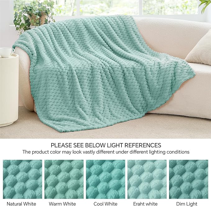 BEDELITE Fleece Throw - Twin Blanket for Bed Couch, 3D Jacquard Decorative Haze Blue, Soft Cozy Warm Plush Fuzzy Blanket for All Seasons, 60x80Inches