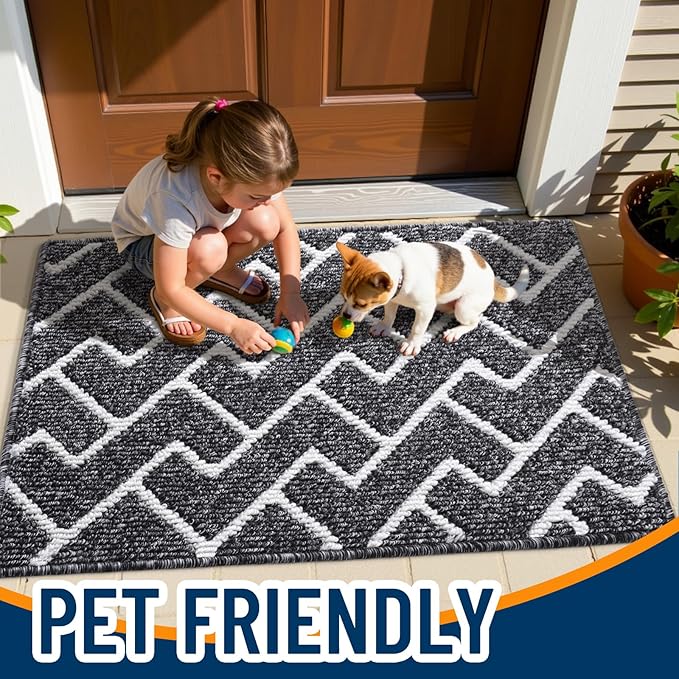 OLANLY Front Door Mat, Non-Slip Rubber Backing, Dirt Resistant and Absorbent, Washable, Easy to Clean Low-Profile Indoor Doormat for Back Door, Entryway, Inside Entrance, 40x32, Black