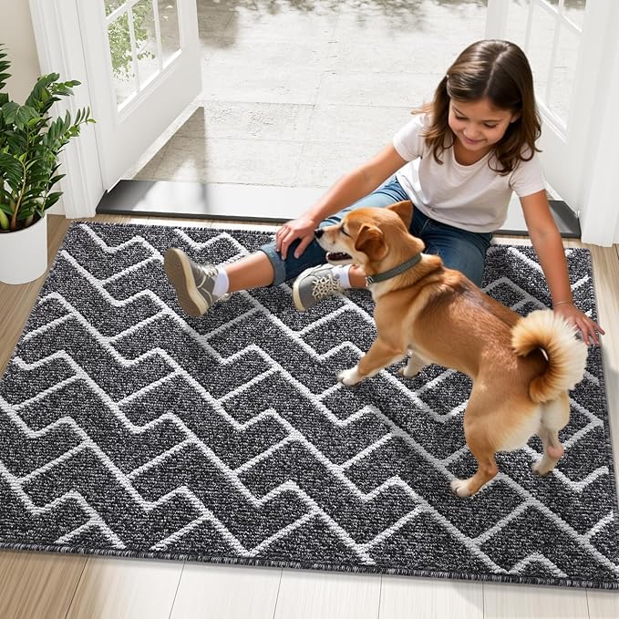 OLANLY Front Door Mat, Non-Slip Rubber Backing, Dirt Resistant and Absorbent, Washable, Easy to Clean Low-Profile Indoor Doormat for Back Door, Entryway, Inside Entrance, 36x24, Black