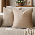 GIGIZAZA Decorative Throw Pillow Covers 24x24,Set of 2 Taupe Couch Pillow Covers,Velvet Pillow Square Cushion Covers