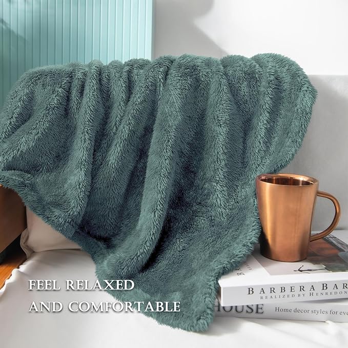 Exclusivo Mezcla Plush Fuzzy Fleece Bed Blanket Twin Size, Super Soft, Fluffy and Warm Blankets for Couch, Bed, All Season (Celadon, 90x66 inches)
