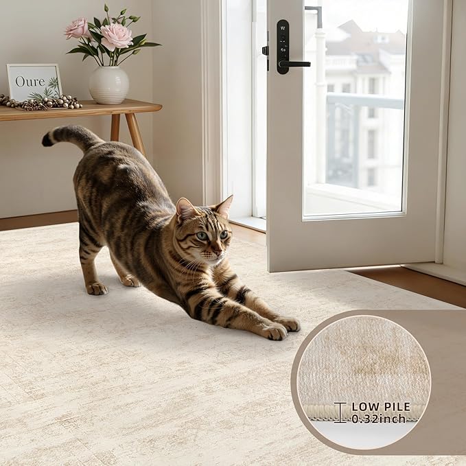 6x9 Area Rugs for Living Room: Vintage Boho Neutral Washable Rug Indoor Soft Large Area Rug Carpet for Bedroom Nursery Farmhouse Dining Room Office Floor Non-Slip Low Pile Under Table Rug Retro Beige