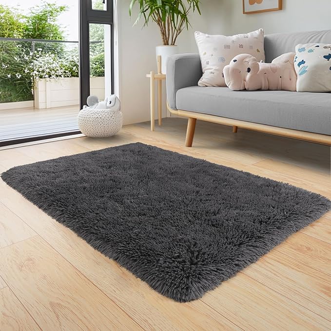 Pionblank Fluffy Small Rug for Bedroom 2x3 Feet, Shag Soft Area Rug for Bedside, Modern Plush Cute Carpet for Kids Girls Boys Room Nursery Decor, Charcoal Grey