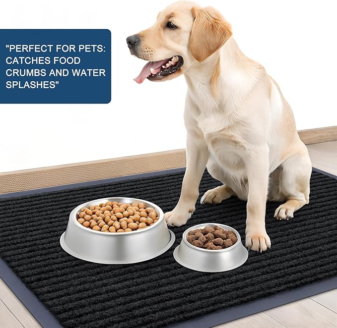 OLANLY Front Door Mat Indoor Outdoor Entrance, Waterproof Heavy Duty Doormat, Fade Resistant, Low Profile, Easy Clean Patio Porch Welcome Floor Mats for Entry, 47x30, Black