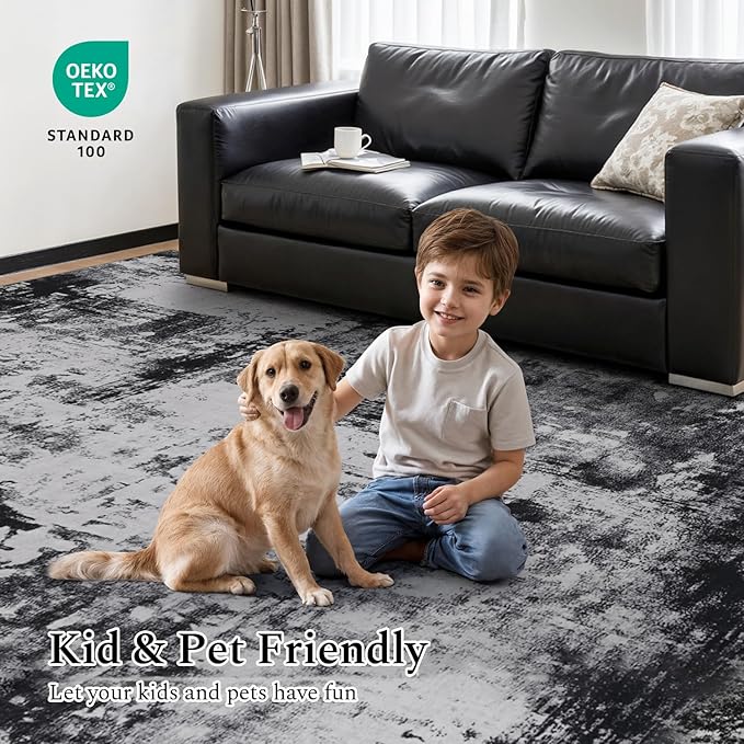 Rugflix 5x7 Area Rugs for Living Room, Washable Large Rug Stain-Resistant Low Pile, Modern Dark Carpet for Dining Room Home Office Kid Room Nursery Bedroom, Black Grey