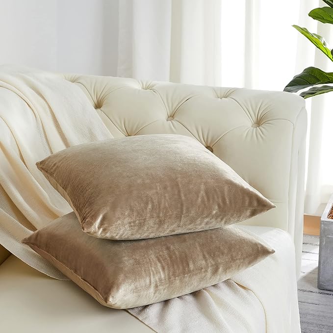 GIGIZAZA Decorative Couch Throw Pillow Covers,Set of 2 Taupe Square Pillow Cushion Covers 22x22 Velvet Pillowcase