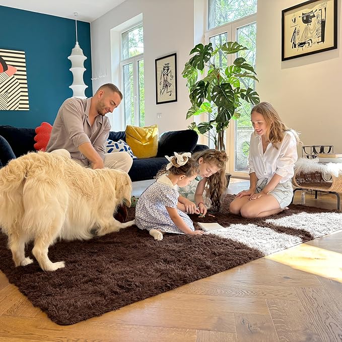 OLANLY 3x4 Machine Washable Accent Rug, Soft Fluffy Shaggy Area Rug for Bedroom, Living Room, Indoor Floor Carpet for Kids, Nursery, Home Decor, Coffee