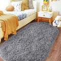Pionblank Fluffy Oval Area Rug for Bedroom 3.3x6.2 Feet, Cute Plush Throw Rugs for Bedside, Ultra Soft Shag Carpet for Living Room Kids Room Nursery Teens Dorm Home Decor, Grey