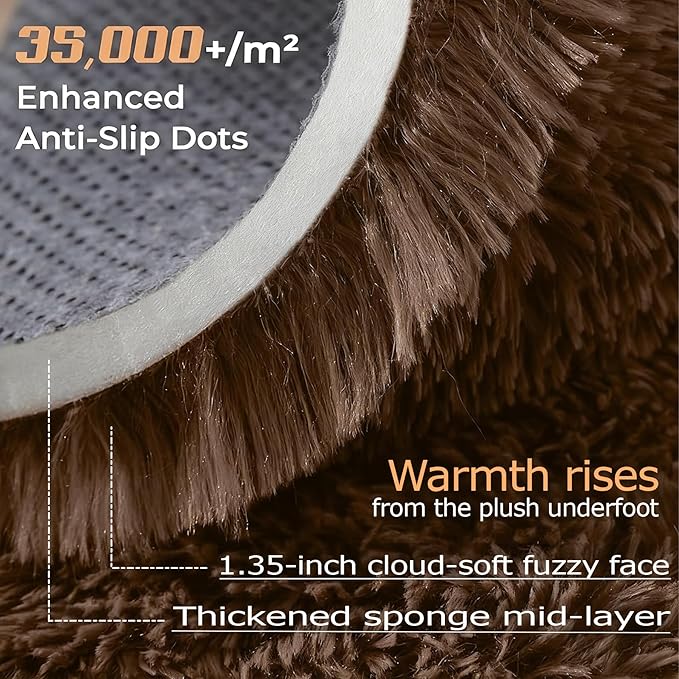 6x9 Area Rug for Living Room: Fluffy Shag Soft Washable Rugs Large Fuzzy Plush Indoor Carpet for Bedroom Nursery Playroom Kids Girls Boys Room (Coffee, 6'x9')