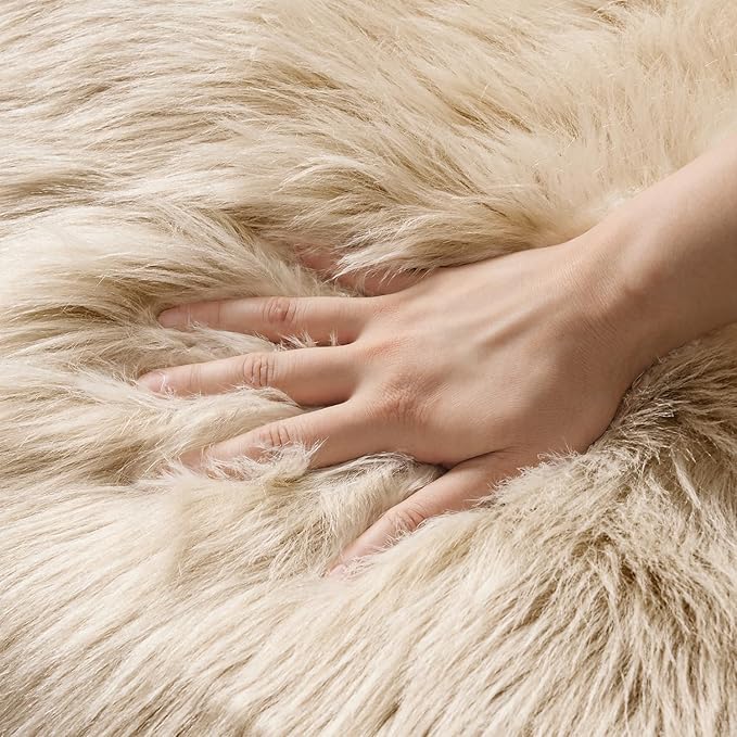 MIULEE Luxury Soft Fluffy Area Rug 3x5 Feet, Faux Fur Sheepskin Rug Decorative Plush Shaggy Carpet for Bedside Sofa Floor Nursery, Beige
