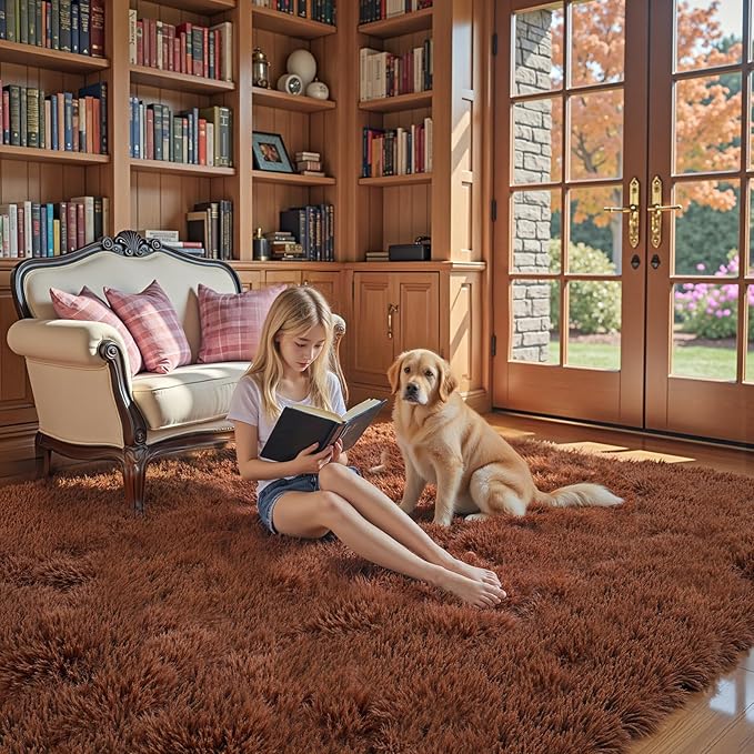 Rugs for Bedroom 4x6, Alfombras para Salas Shag Large Plush Soft Area Rug, Shaggy Carpets for Livingroom, Kids Boys Girls Home Decor Aesthetic(Coffee, 4 x 6)