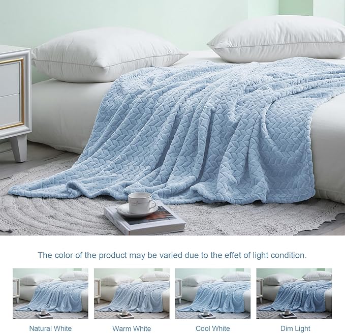Exclusivo Mezcla Fleece Throw Blanket for Couch and Bed, 50x70 Inches Soft Cozy Jacquard Flannel Blankets, Lightweight Fuzzy Plush Warm Throws for Women, Light Blue