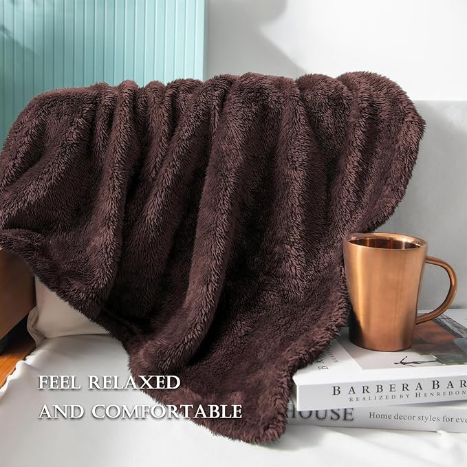 Exclusivo Mezcla Plush Fuzzy Fleece Bed Blanket Queen Size, Super Soft, Fluffy and Warm Blankets for Couch, Bed, All Season (Coffee, 90x90 Inches)