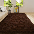 Amearea Premium Soft Fluffy Rug Modern Shag Carpet, 4x5.3 Feet, Fuzzy Shaggy Rugs for Bedroom Living Room Teen Apartment Decor, Comfortable Indoor Furry Dorm Carpets, Brown