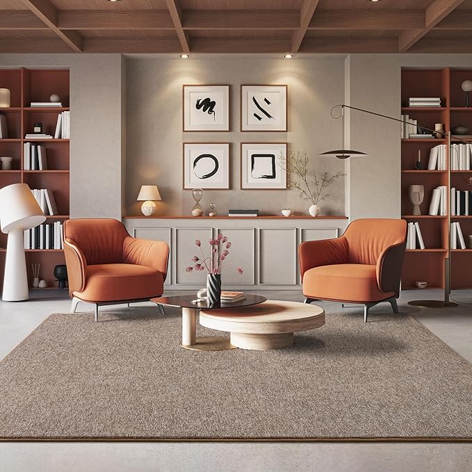 AROGAN Washable 5×7 Living Room Rug, Modern Area Rugs with Soft Memory Foam for Bedroom, Minimalist Non-Slip Indoor Floor Carpet for Dining Room Office Kids Playroom Decor, Matte Brown