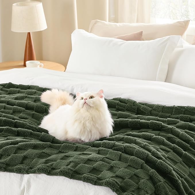 Bedsure GentleSoft Blankets Queen Size for Bed - Super Soft Cozy Spring Blanket for Kids Girls, Large Fuzzy Fleece Throw for Bedroom Decor, Olive Green, 90x90 Inches