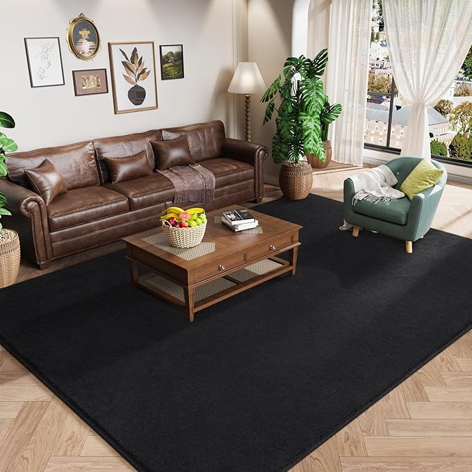 Amearea Large Modern Area Rugs for Bedroom Living Room, 5x8 Feet Black Thickened Memory Foam Rug, Fluffy Indoor Washable Rugs Non Slip Minimalist Carpet for Boys Girls Dorm Nursery Room Decor