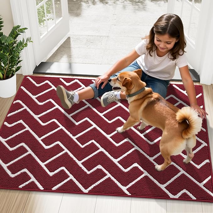 OLANLY Front Door Mat, Non-Slip Rubber Backing, Dirt Resistant and Absorbent, Washable, Easy to Clean Low-Profile Indoor Doormat for Back Door, Entryway, Inside Entrance, 48x32, Burgundy