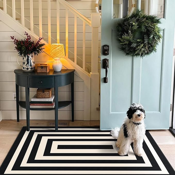 3x5 Modern Entry Rug - Small Washable Indoor Outdoor Mats for Front Door Non-Slip Porch Rug Black White Geometric Striped Throw Rugs for Living Room Bedroom Entryway Kitchen Office Porch Decor