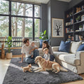Rugs for Bedroom 4x6, Alfombras para Salas Shag Large Plush Soft Area Rug, Shaggy Carpets for Livingroom, Kids Boys Girls Home Decor Aesthetic(Dark Grey, 4 x 6)