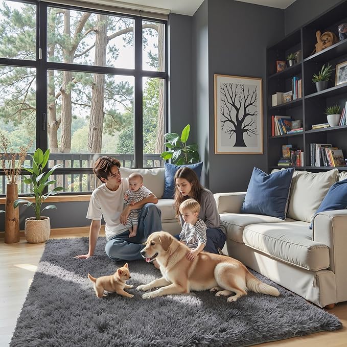 Rugs for Living Room 5x8, Alfombras para Salas Shag Large Plush Soft Area Rug, Shaggy Carpets for Bedroom, Kids Boys Girls Home Decor Aesthetic (Dark Grey, 5 x 8 Feet)