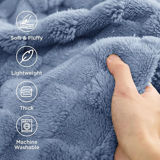 Bedsure GentleSoft Blankets Queen Size for Bed - Super Soft Cozy Blanket for Kids Girls, Large Fuzzy Fleece Throw for Bedroom Decor, Ashley Blue, 90x90 Inches