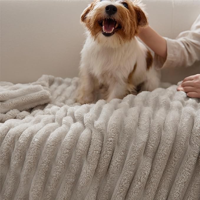 Bedsure GentleSoft California King Size Blanket for Bed - Cozy Soft Blankets for Women, Cute Large Throws for Girls, Beige, 102x96 Inches