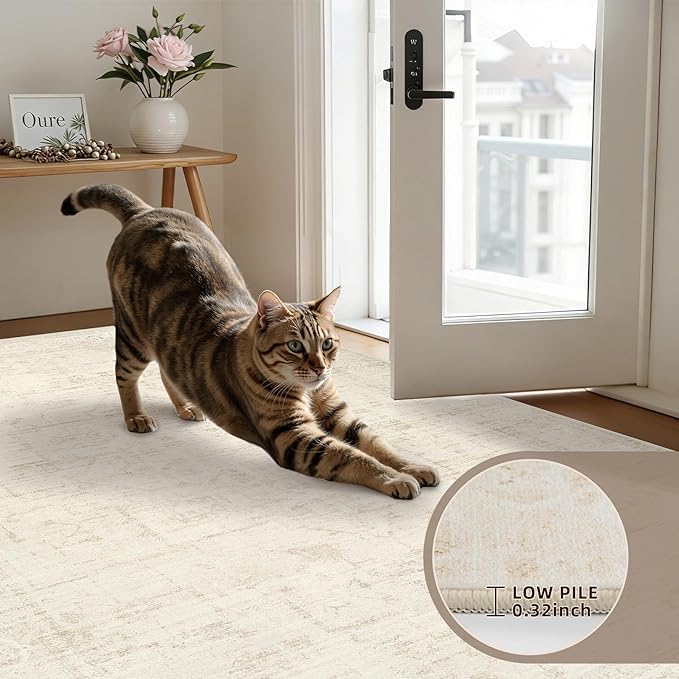 5x7 Area Rugs for Living Room: Vintage Boho Neutral Washable Rug Indoor Soft Large Area Rug Carpet for Bedroom Nursery Farmhouse Dining Room Office Floor Non-Slip Low Pile Under Table Rug Dark Beige