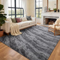 Area Rugs for Living Room, Tie-Dyed 4x6 Feet Soft Fluffy Shagg Plush Rug High Pile Large Indoor Modern Non-Slip Floor Carpet for Bedroom Nursery Kids Home Room Dorm Decor Aesthetic Grey