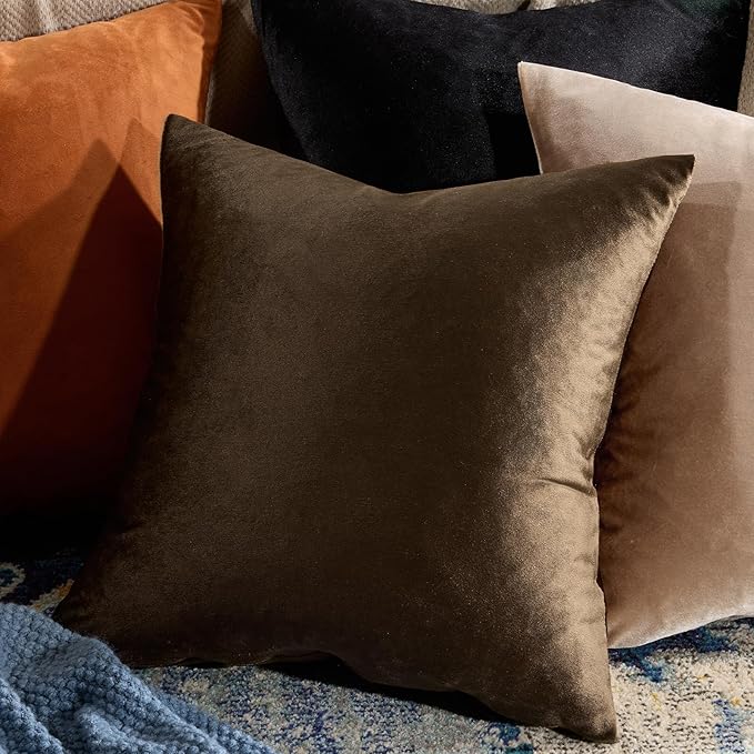 GIGIZAZA Brown Velvet Pillow Covers 16x16,Square Solid Throw Pillow Covers Decorative Modern Pillows Small Vintage Cases for Couch Pack of 2