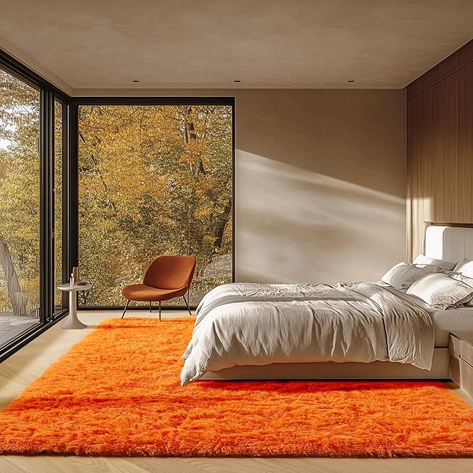 ONASAR Orange Area Rugs for Bedroom Living Room, Fluffy 4x6 Indoor Bedside Floor Throw Rug, Soft Plush Shaggy Carpet for Nursery Kids Girls Boys Teen Dorm Home Office Decor Aesthetic