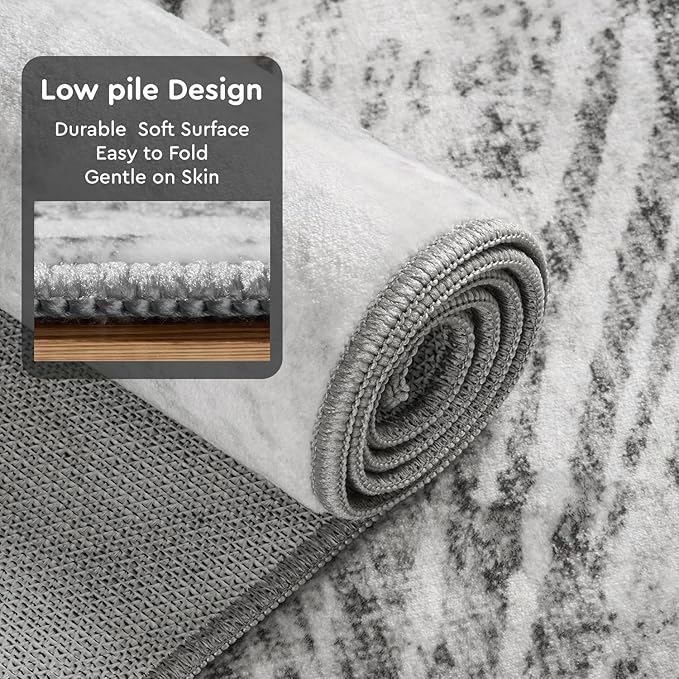 3 x 5 Rug Small Non Slip Area Rug Ultra Soft Machine Washable Low Pile Modern Abstract Dahlia Indoor Carpet Rugs for Bedroom Living Room Entryway Kitchen Bedside, Grey