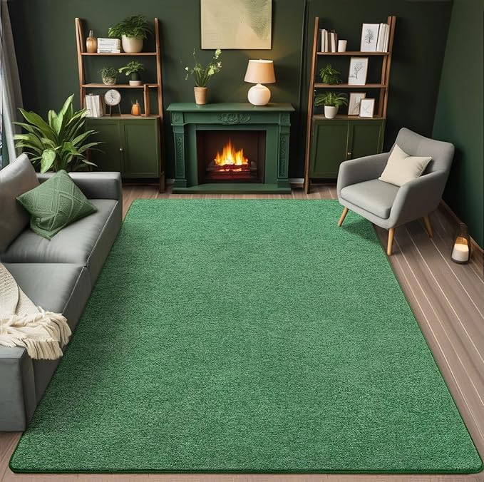 AROGAN Washable 5×7 Living Room Rug, Modern Area Rugs with Soft Memory Foam for Bedroom, Minimalist Non-Slip Indoor Floor Carpet for Dining Room Office Kids Playroom Decor, Sage Green